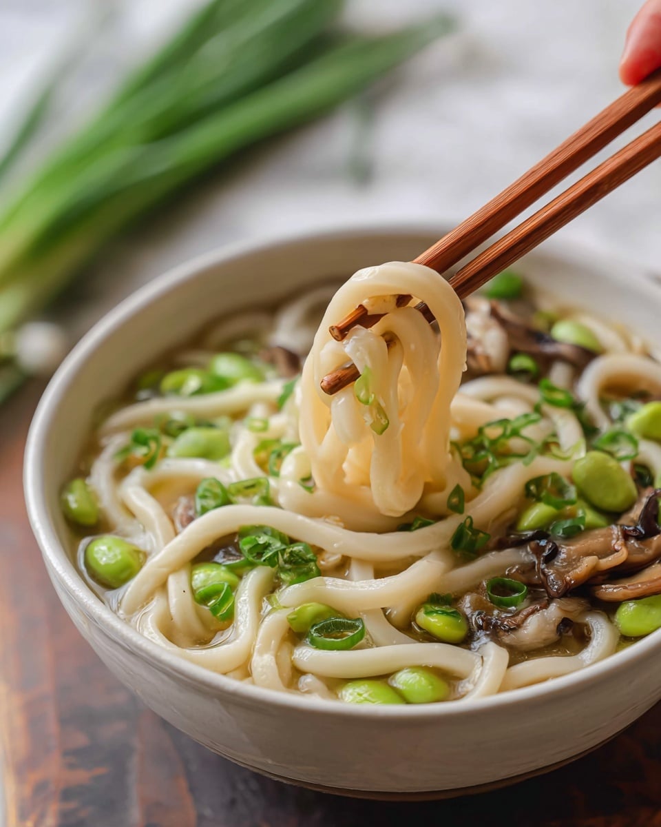 Udon Noodle Soup with Miso Broth Recipe - Recipe Image