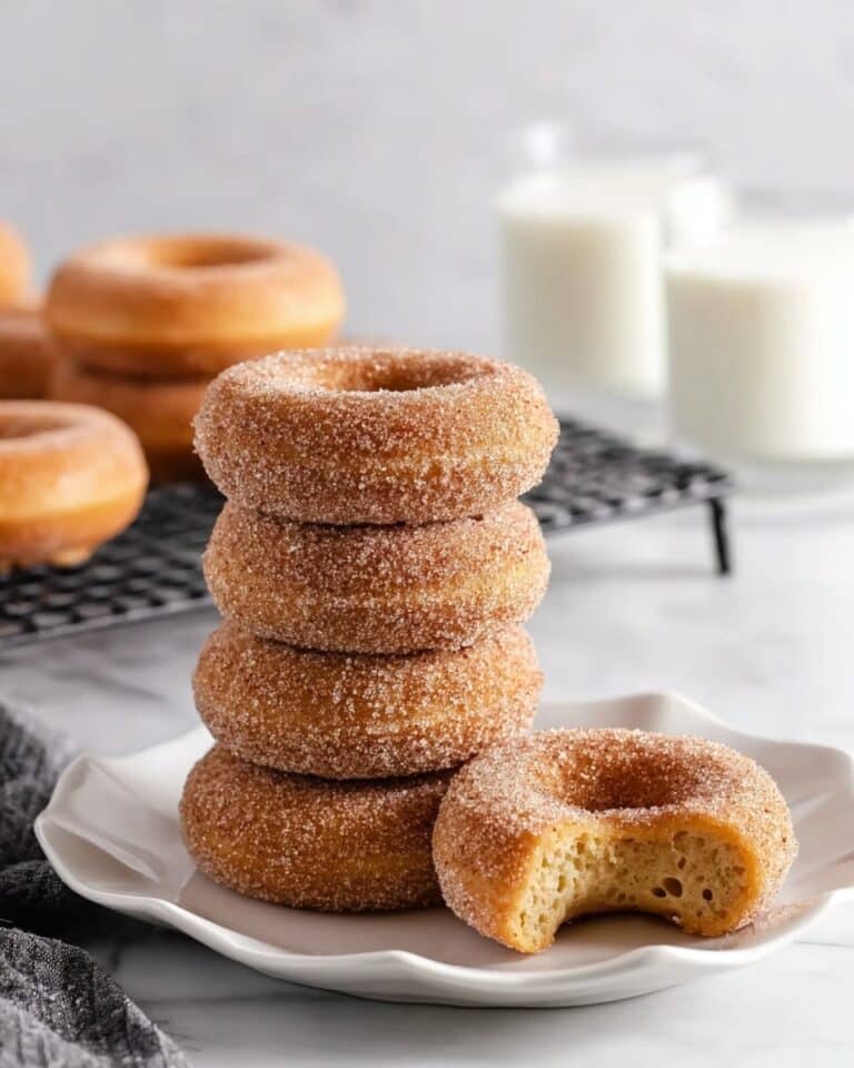 Baked Cinnamon Sugar Donuts Recipe